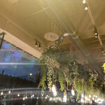 Botanical Garden SARU CAFE - 