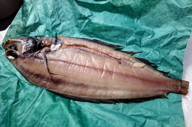 カネイチ丸橋 - 釧路（その他）の写真