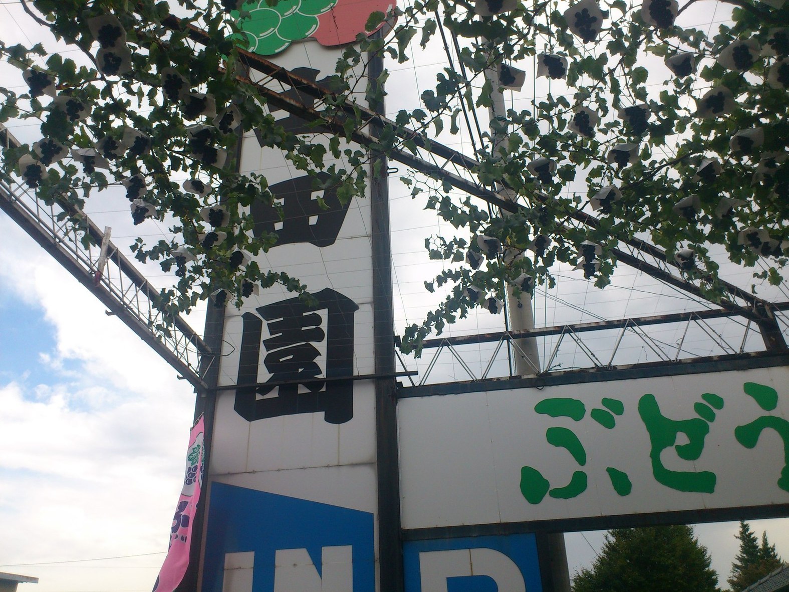土田園 name=