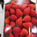 カズサの郷 愛彩畑 - よつぼし