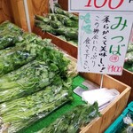 カズサの郷 愛彩畑 - 三つ葉