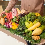 レフェルヴェソンス - 