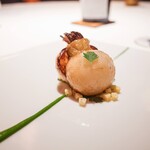 レフェルヴェソンス - 