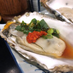 ほろよい - 生カキ酢