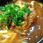 讃岐うどん はるしん - 和風きのこ天カレー