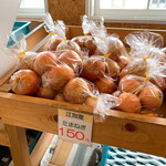 八紘学園 農産物直売所 - 【2021年02月】道産玉葱。