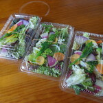 ウィウィ - 鎌倉野菜のサラダ3パック