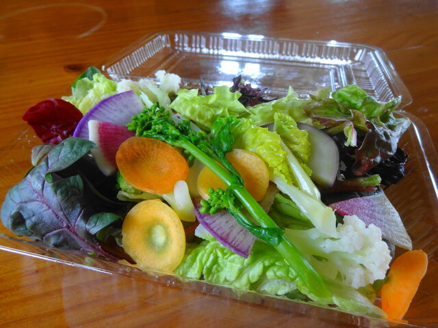 ウィウィ Oui Oui 鎌倉 ビストロ 食べログ ウィウィ Oui Oui 鎌倉 ビストロ 食べログ