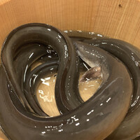 馬車道 大かわ - 