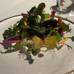 レフェルヴェソンス - 