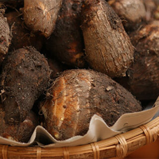 せせらぎの厨 すずしろ_2