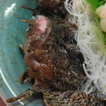 小笠原 - アタマは30分程も動いています