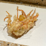 日本橋 蕎ノ字 - 味噌入り海老の頭