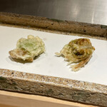 日本橋 蕎ノ字 - 静岡の蕗の薹