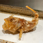 日本橋 蕎ノ字 - 深海魚　夢カサゴ