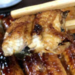 うなぎ割烹山田 - 肉厚の鰻