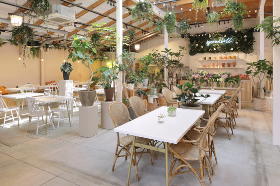サロン ウフ エ モア あべのハルカスダイニング店 Salon Oeuf Et Moi 大阪阿部野橋 オムライス 食べログ