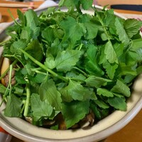 浅草じゅうろく - 