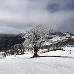 山のレストラン C's - 3月なのに雪が