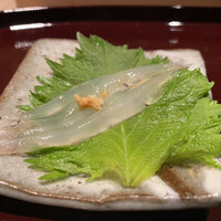 匠　達広 - 