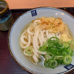 横井製麺所   - かけうどん