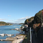 はっかい - 店のパネル　ネットからはいしゃくしました！