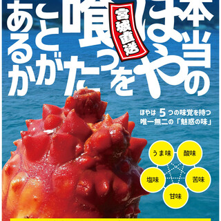 宮城直送 かきほや飛梅_1