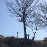 とんちゃん - 頂上が見えました。