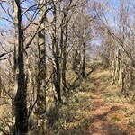 とんちゃん - 絵になりそうな道