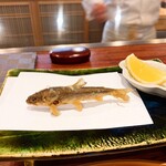 旬彩天 つちや - 