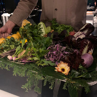 レフェルヴェソンス - 