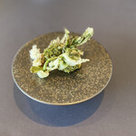 プレゼンテ スギ - ニワトコのフリットと赤イカ青トマトふきのとう