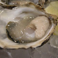 BELON 渋谷店 - 