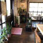 オリーブ - 