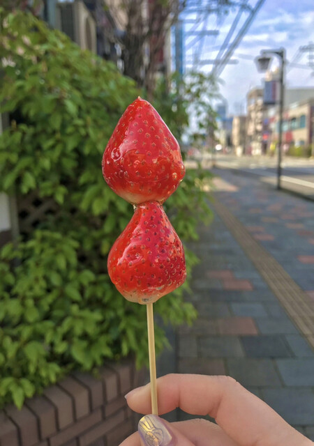 キャンディキャンディキャンディ (CandyCandyCandy) - 宮崎 キャンディキャンディキャンディ (CandyCandyCandy) - 宮崎