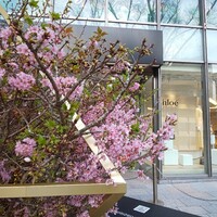 蔭山樓 表参道店 - 