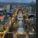 Hakodate Uni Murakami - TV塔から眺める大通り公園☆彡ライトアップ前☆彡