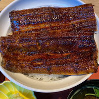 うなぎ和食  しら河 今池ガスビル店 - 