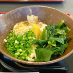 饂飩酒場 三田村商店 - うどんはコシ強め