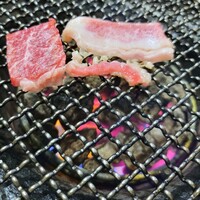 みやび 六本木店 - 