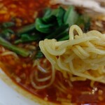 Yaidushisenhanten ando gardenzu - 酸辣湯麺(辛口)　リフト