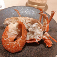 SUSHI TOKYO TEN、 六本木店 - 