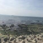 まるは食堂旅館 - 