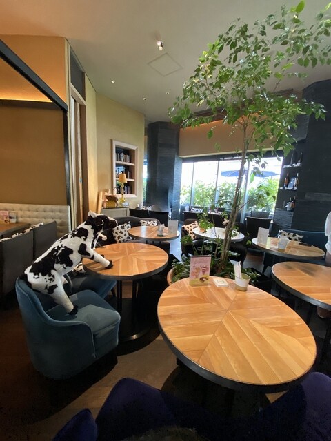 天王寺でランチ女子会するなら おしゃれな人気店14選 食べログまとめ