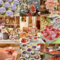 スプレンディード - 