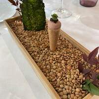 プレヴナンス - 