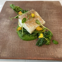 プレヴナンス - 