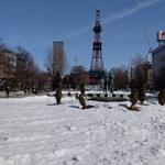 手作りハンバーグ工房Toshi - 