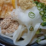 本格手打うどん 麺むすび - 鶏天おろしうどん