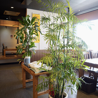 炭火焼肉 壱番_2